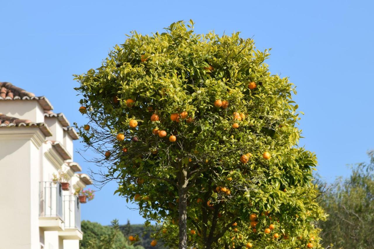 Quinta De Catralvos Hotel Azeitao Bagian luar foto