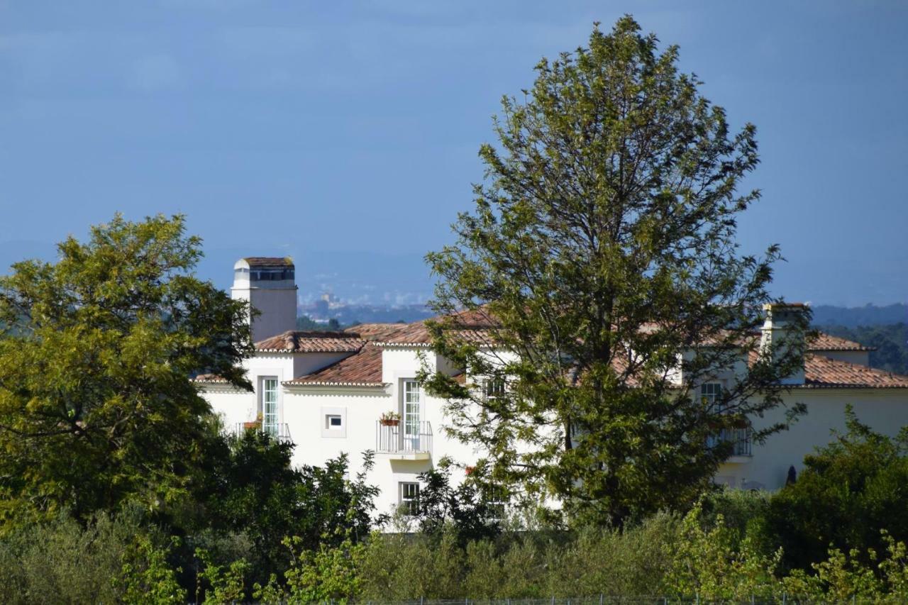 Quinta De Catralvos Hotel Azeitao Bagian luar foto